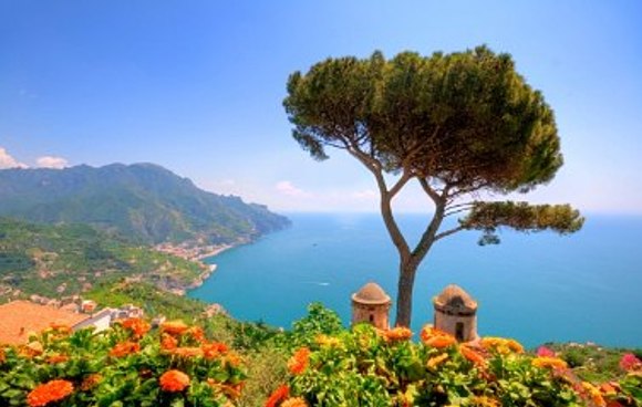 Ausblick auf die italienische Küste mit einem Baum