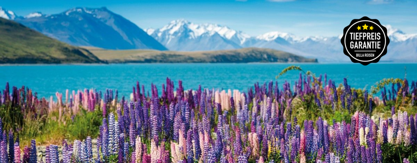Bucht mit Segelschiffen bei den britischen Jungferninseln 