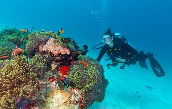 Taucherin erkundet Riff auf den Malediven