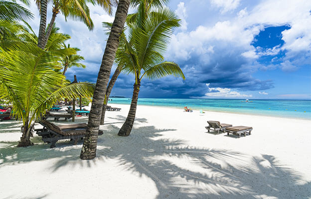Strand mit Palmen im Mauritius Urlaub