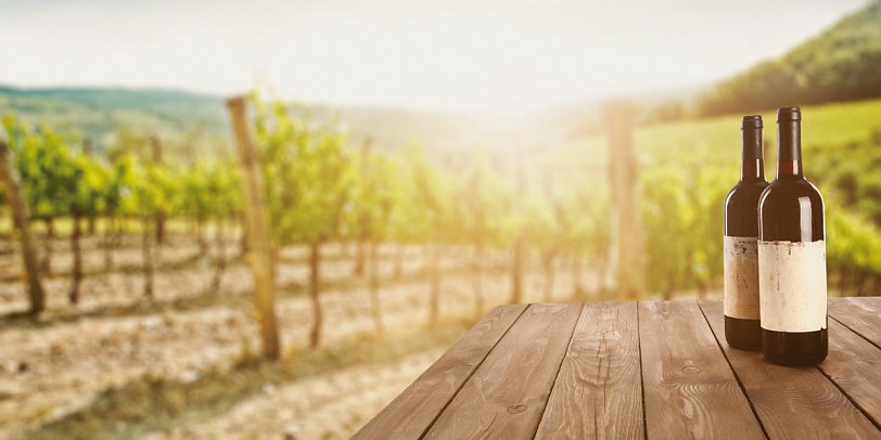 Faszination des Südens