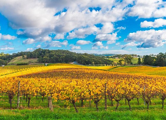Discover Südaustralien – Weinberge, Outback & Wildlife - Adelaide Hills