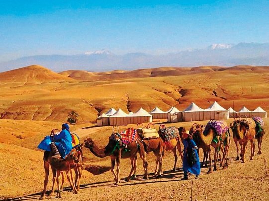 Marokkos Schätze - Küstenkultur, Marrakesch und die unendliche Weite der Wüste - Agafay-Wüste - Kamelritt