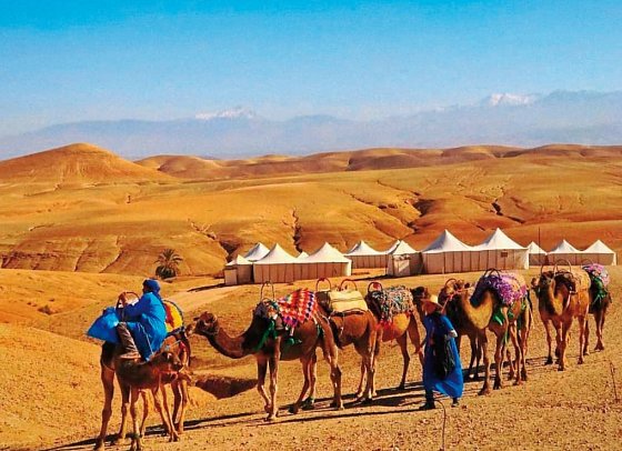Marokkos Schätze - Küstenkultur, Marrakesch und die unendliche Weite der Wüste - Agafay-Wüste - Kamelritt