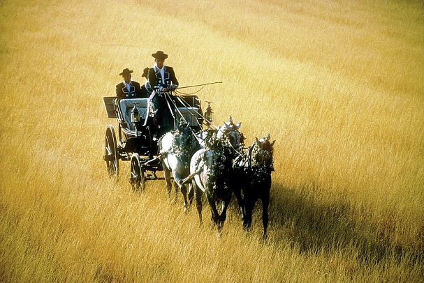 Zauberhaftes und charmantes Andalusien