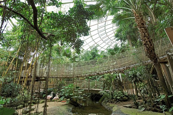 Center Parcs Het Heijderbos