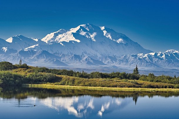 Grandioses Alaska - Denali Nationalpark