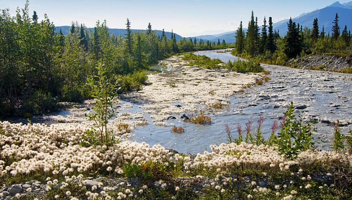 Grandioses Alaska - Matanuska River