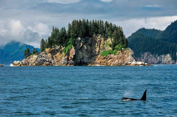 Grandioses Alaska - Kenai Fjords Nationalpark