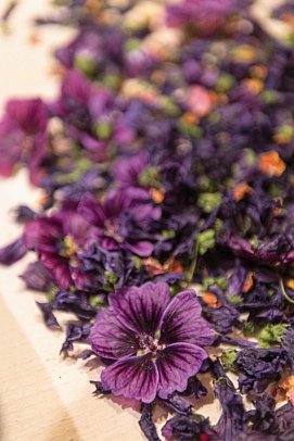 Kräuter & Spa DAS SCHÄFER