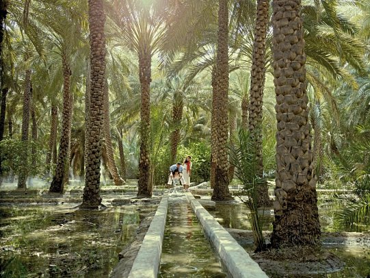 Kulturelle Schätze des Morgenlandes - Al Ain Oase