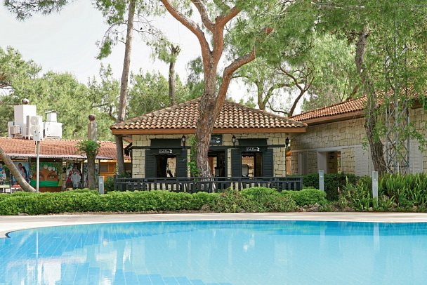 Akka Antedon - Cafe Preto