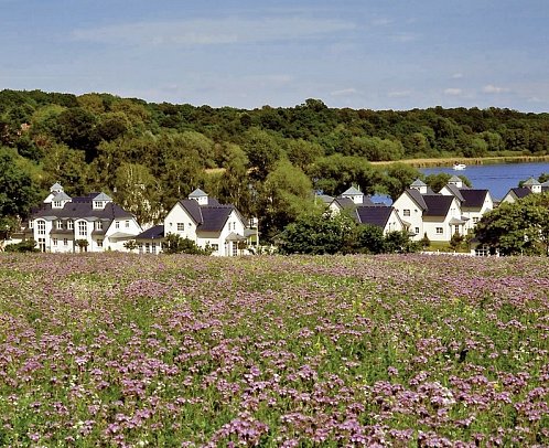 Precise Resort Schwielowsee