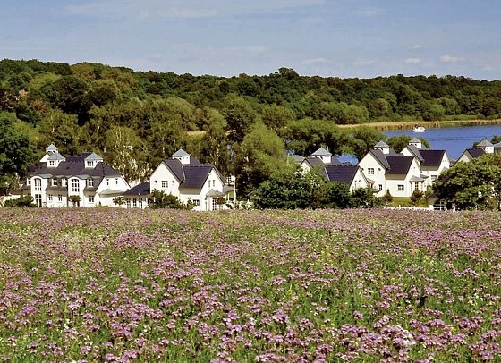 Sunday Resort Schwielowsee