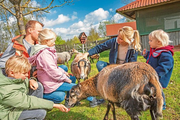 BEECH Resort Fleesensee