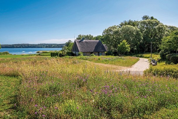 BEECH Resort Plauer See