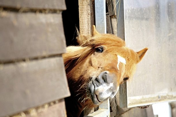 Van der Valk Resort Linstow – Hotel