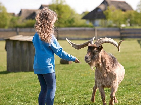 Van der Valk Resort Linstow – Ferienhäuser