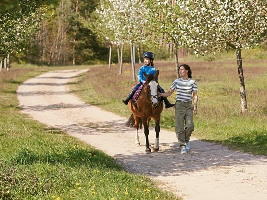 Van der Valk Resort Linstow – Ferienhäuser