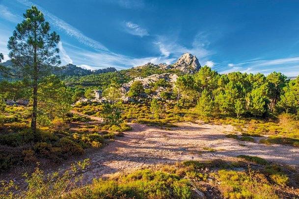 Kulinarische Entdeckungsreise durch Korsika - Col de Bavella