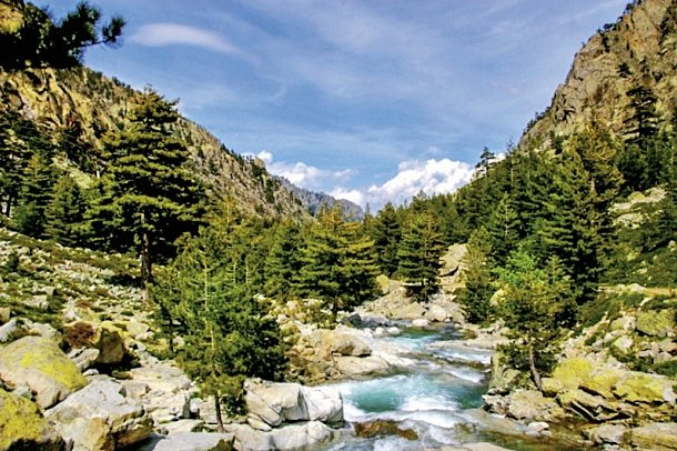 Kulinarische Entdeckungsreise durch Korsika - Restonica Tal