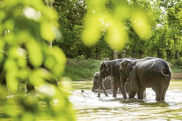 Nord-Thailand mit Goldenem Dreieck (Gruppenreise ohne Bangkok)