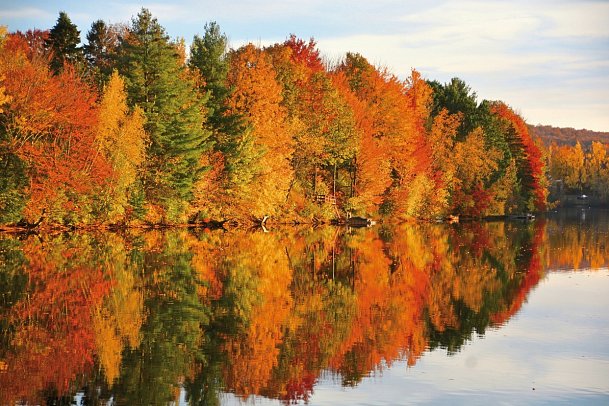 Farbenpracht des Indian Summer (ab Boston/bis New York) - Faszinierende Laubfärbung