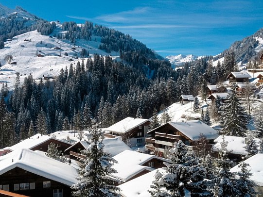 Hotel Steinmattli