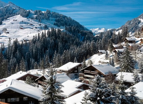 Hotel Steinmattli