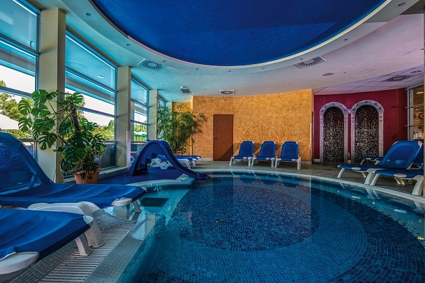 Thermal Hotel Visegrad