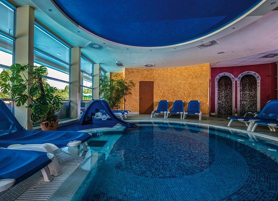 Thermal Hotel Visegrad