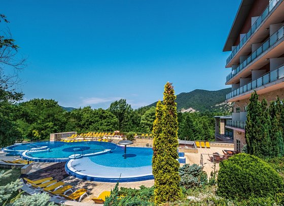 Thermal Hotel Visegrad