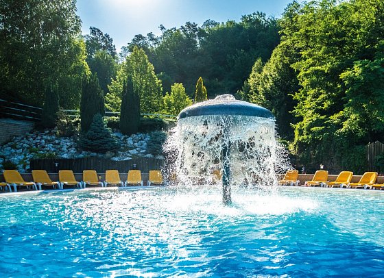 Thermal Hotel Visegrad