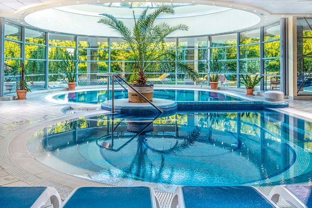Thermal Hotel Visegrad