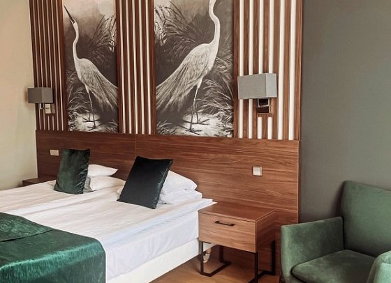 Thermal Hotel Visegrad - Wohnbeispiel Doppelzimmer Parkseite (Zimmercodierungen DP1, DB4, DB5, DC1 & FB9)