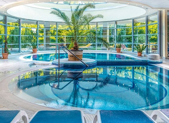 Thermal Hotel Visegrad