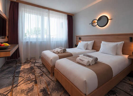 Premium Hotel Panorama - Wohnbeispiel Doppelzimmer Economy (Zimmercodierung DE1)