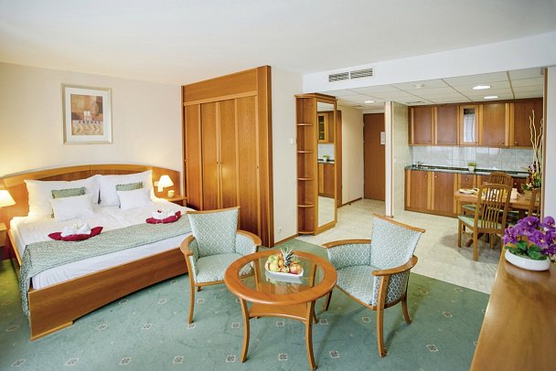 Hotel Palace Héviz - Wohnbeispiel Doppelzimmer Standard (Zimmercodierungen DG1 & DG2)