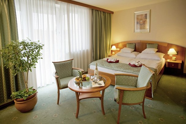 Hotel Palace Héviz - Wohnbeispiel Doppelzimmer Standard (Zimmercodierungen DG1 & DG2)