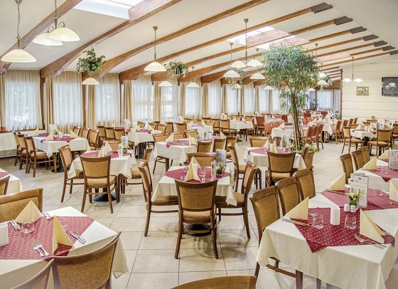 Hotel Palace Héviz