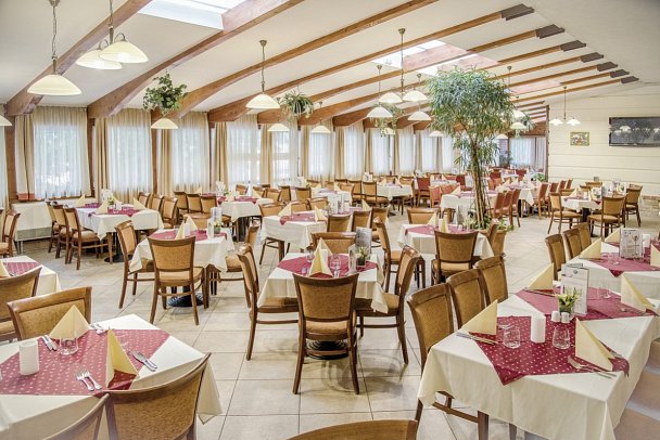 Hotel Palace Héviz