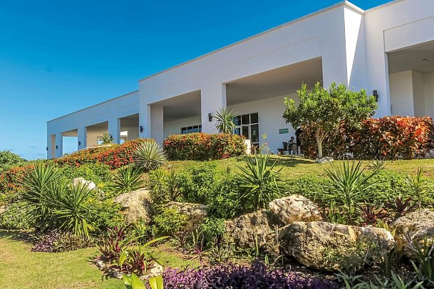 Valentin Perla Blanca