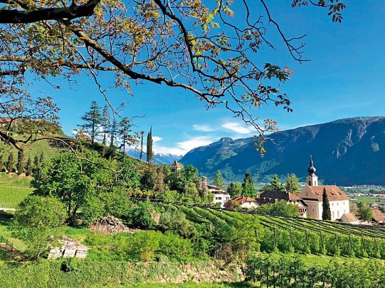 Südtiroler Wein- und Almenweg - Kaltern