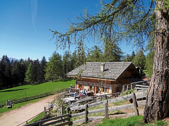 Südtiroler Wein- und Almenweg - Almhütte bei Mölten