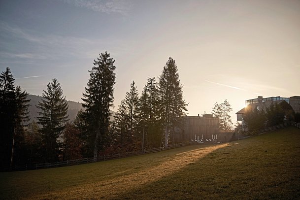 Hotel Saltus