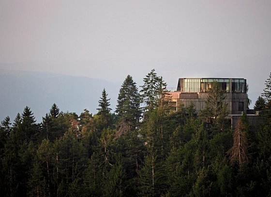 Hotel Saltus