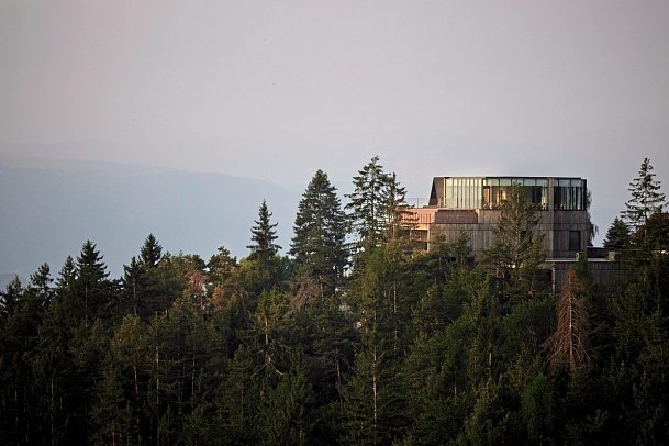 Hotel Saltus