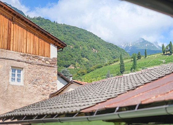 Gasthof Goldene Traube - Wohnbeispiel Themenzimmer Doppelzimmer (Zimmercodierung DB1)