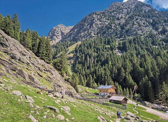 Meraner Höhenweg - Schutzhütte Nasereit oberhalb von Partschins