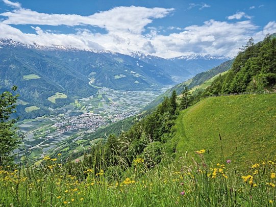 Meraner Höhenweg - Naturns
